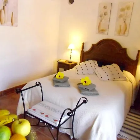 Elegant In With Pool - 35 M² Appartamento