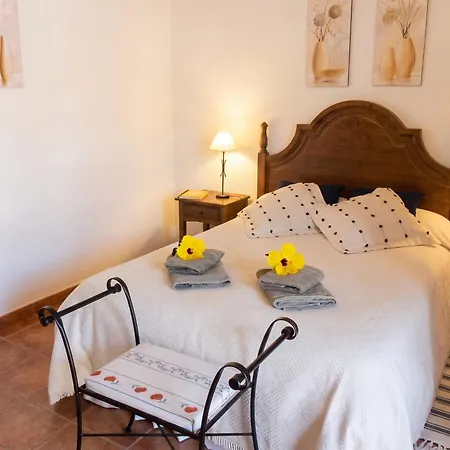 Elegant In With Pool - 35 M² * La Laguna (Tenerife)
