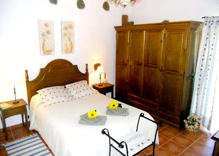 Elegant In With Pool - 35 M² Apartment La Laguna (Tenerife)
